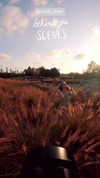 shelly_feller Altpins Profile Picture