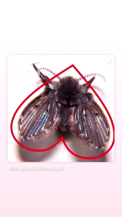 feelbetterinmysweater feelbetterinmysweater archive video