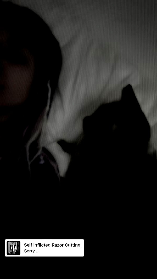 mellancholicka archive video preview