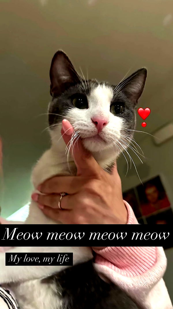 tatum.ricee archive video preview