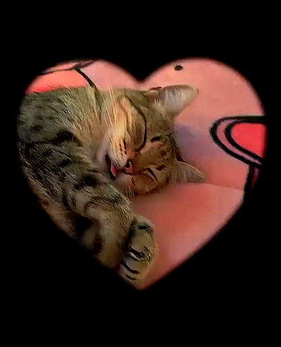 shunli__mei shunli__mei archive video