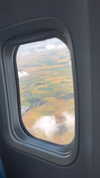 roni_ackerman Altpins Profile Picture