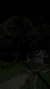 merveystar Altpins Profile Picture