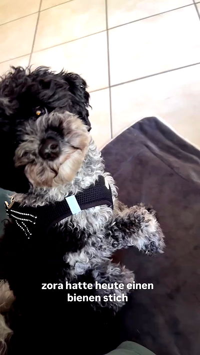 bymonamarie bymonamarie archive video