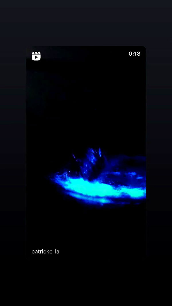 liashaked archive video preview