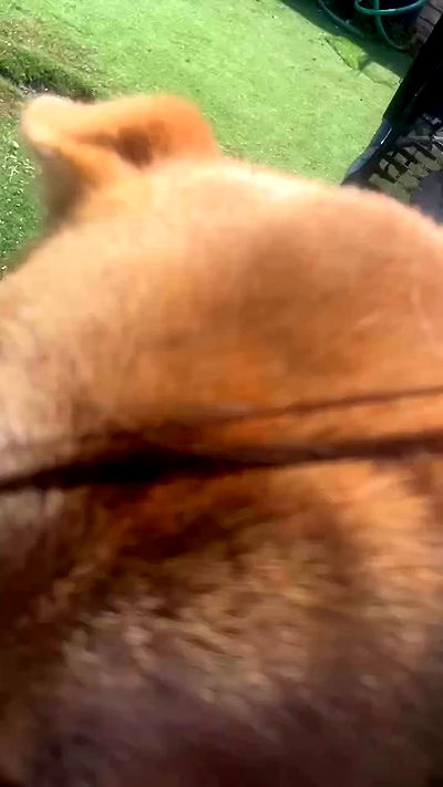 feelbetterinmysweater feelbetterinmysweater archive video