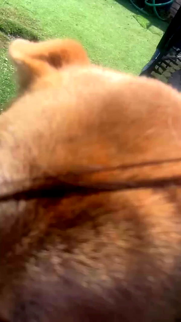 feelbetterinmysweater archive video preview