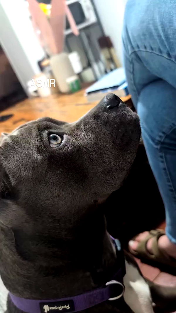 tinapavlov.sky archive video preview