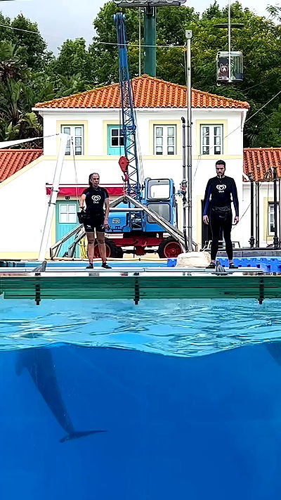 emily.otaku emily.otaku archive video