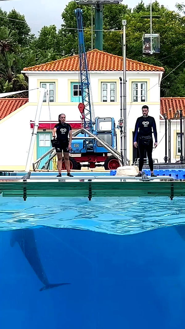 emily.otaku archive video preview