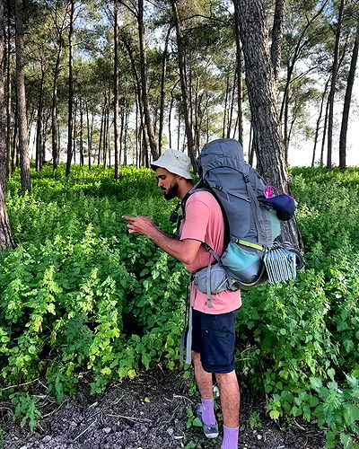 iambohema.v2 iambohema.v2 archive video