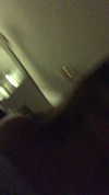 shir.moshe666 Altpins Profile Picture