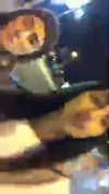 shir.moshe666 Altpins Profile Picture