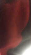 shir.moshe666 Altpins Profile Picture