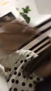 shir.moshe666 Altpins Profile Picture