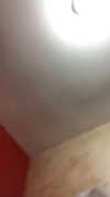 shir.moshe666 Altpins Profile Picture