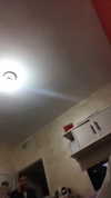 shir.moshe666 Altpins Profile Picture