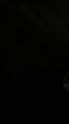 shir.moshe666 Altpins Profile Picture
