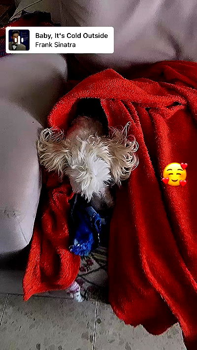 feelbetterinmysweater feelbetterinmysweater archive video