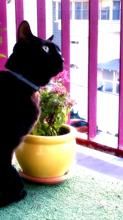 feelbetterinmysweater feelbetterinmysweater archive video