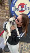 roni_ackerman Altpins Profile Picture