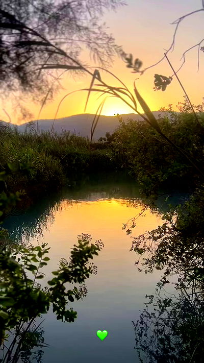 1justsabi 1justsabi archive video