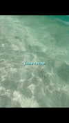 sydneygoldsmithh Altpins Profile Picture