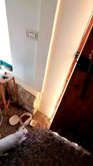 tinapavlov.sky tinapavlov.sky archive video