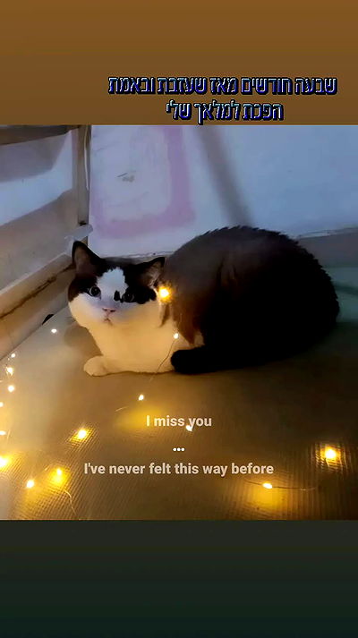 moonyyyya moonyyyya archive video