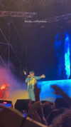 carla.famulari Altpins Profile Picture