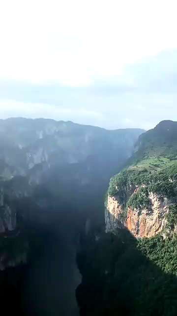 noa_mendel_ archive video preview