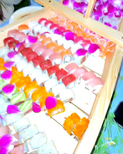 carolinezalog carolinezalog archive video