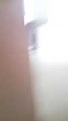 shir.moshe666 Altpins Profile Picture