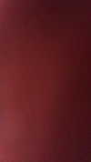 shir.moshe666 Altpins Profile Picture