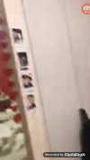 shir.moshe666 Altpins Profile Picture