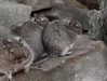 alex_barboy Altpins Profile Picture