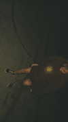 edin.karyn Altpins Profile Picture