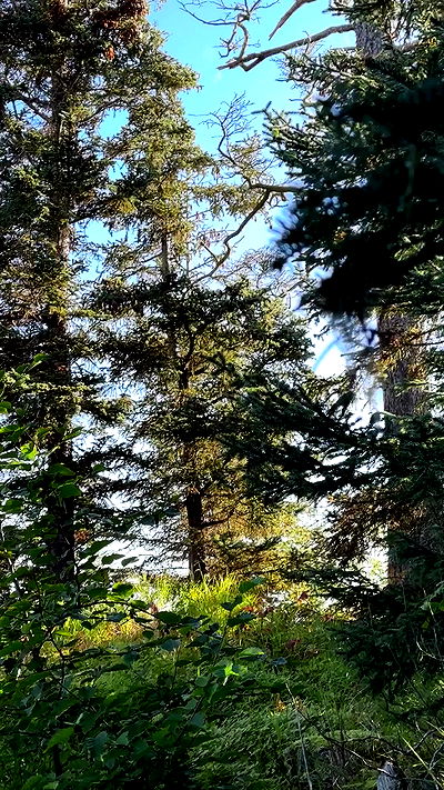 sedonaskyxo sedonaskyxo archive video