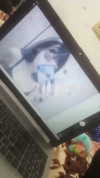 0ch4n Altpins Profile Picture