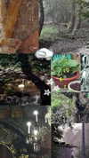 kyshenec Altpins Profile Picture