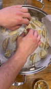 roni_ackerman Altpins Profile Picture