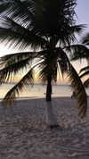 laurasaponara Altpins Profile Picture