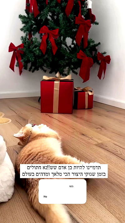 itsilanosh itsilanosh archive video