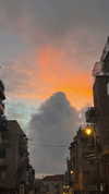hadas_mayer_ Altpins Profile Picture