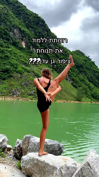 liad.arazi liad.arazi archive video