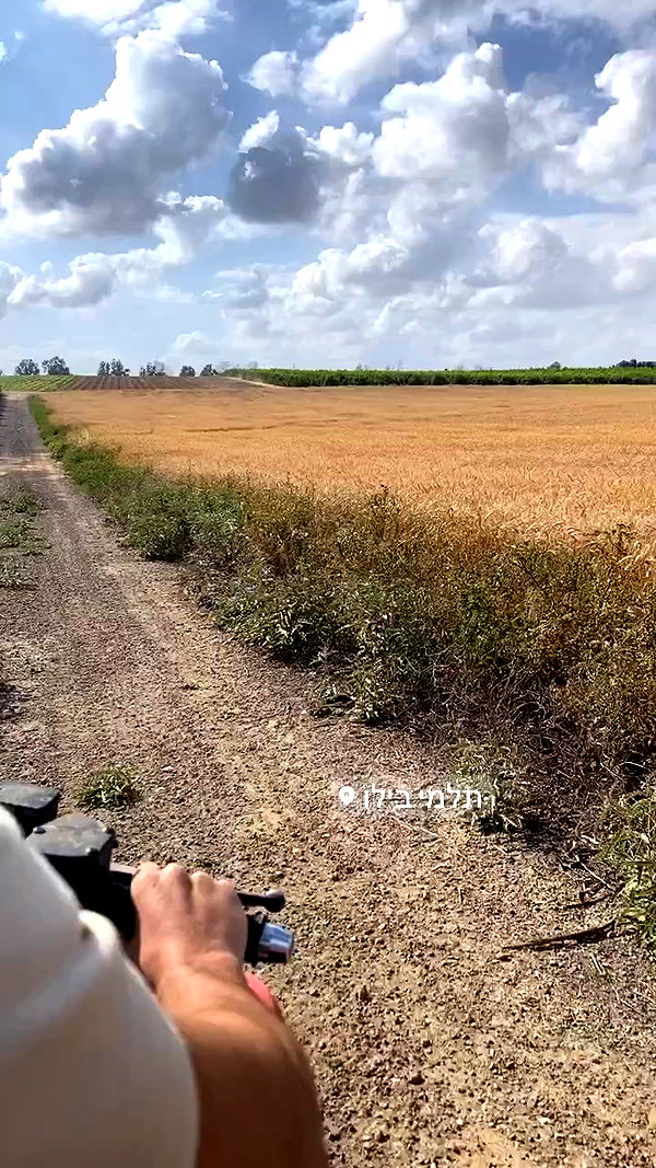 siel_pinto archive video preview