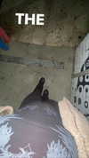avitallllllll Altpins Profile Picture