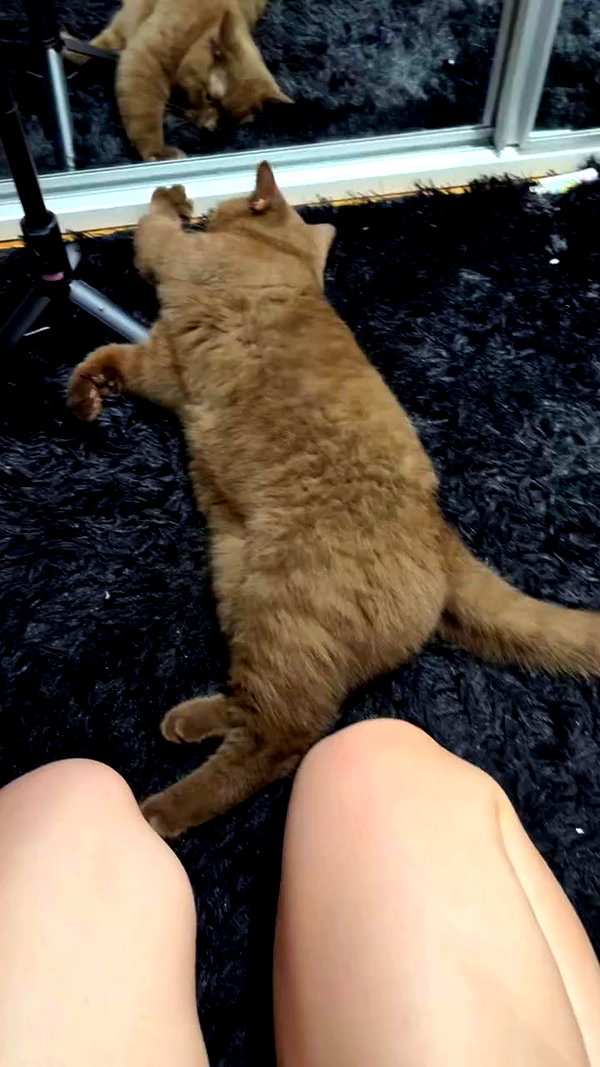 nicoleponyxo archive video preview
