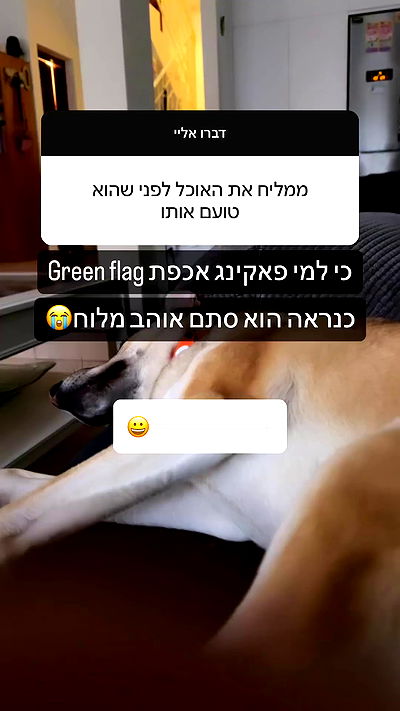 moonliliaght moonliliaght archive video