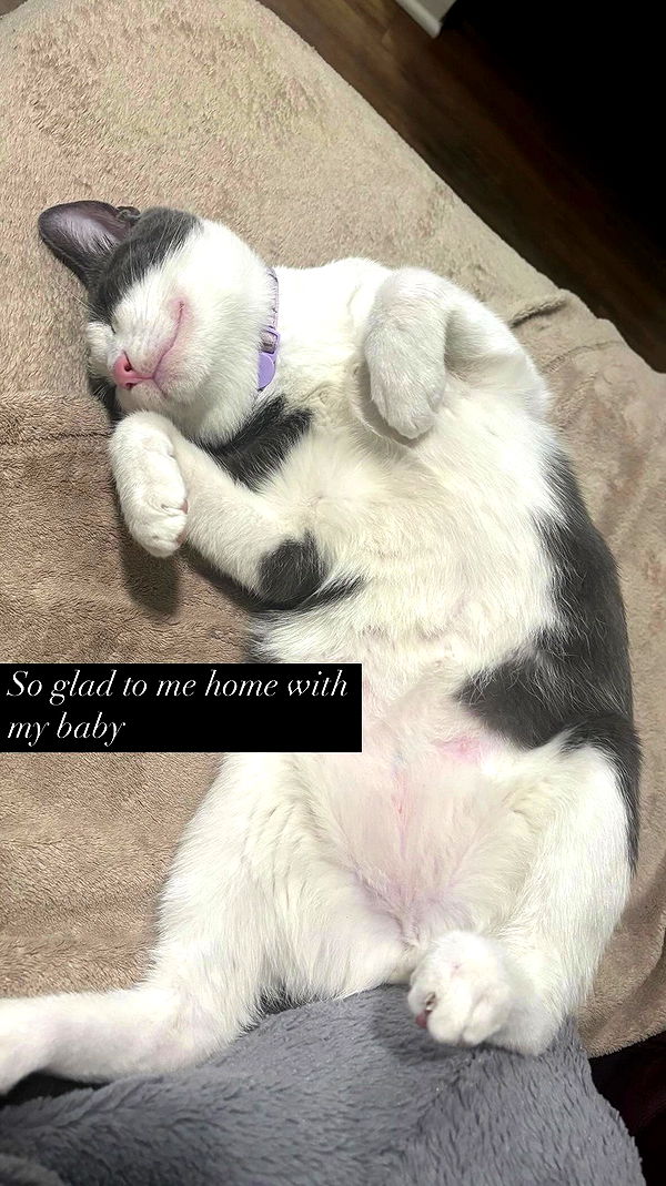 tatum.ricee archive video preview